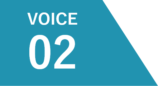 voice2